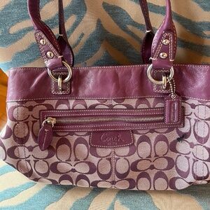 Plum Coach Bag